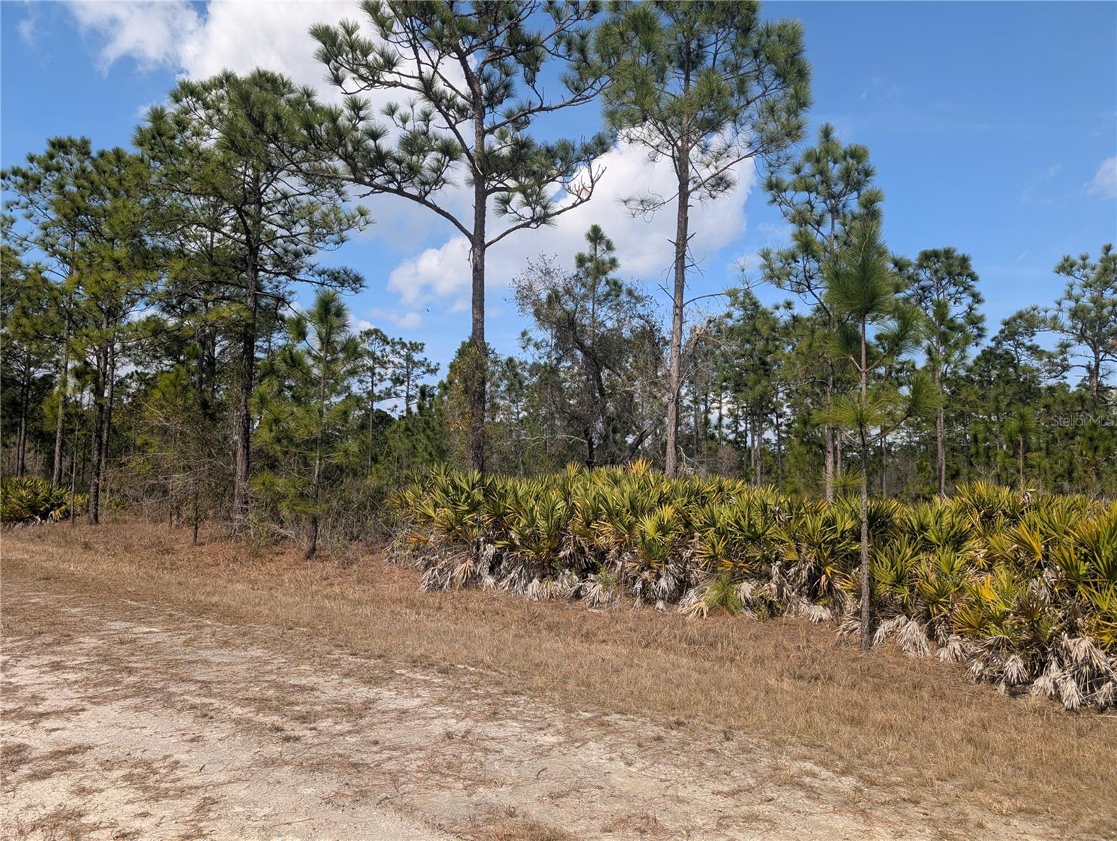 614 Alba Drive, FL