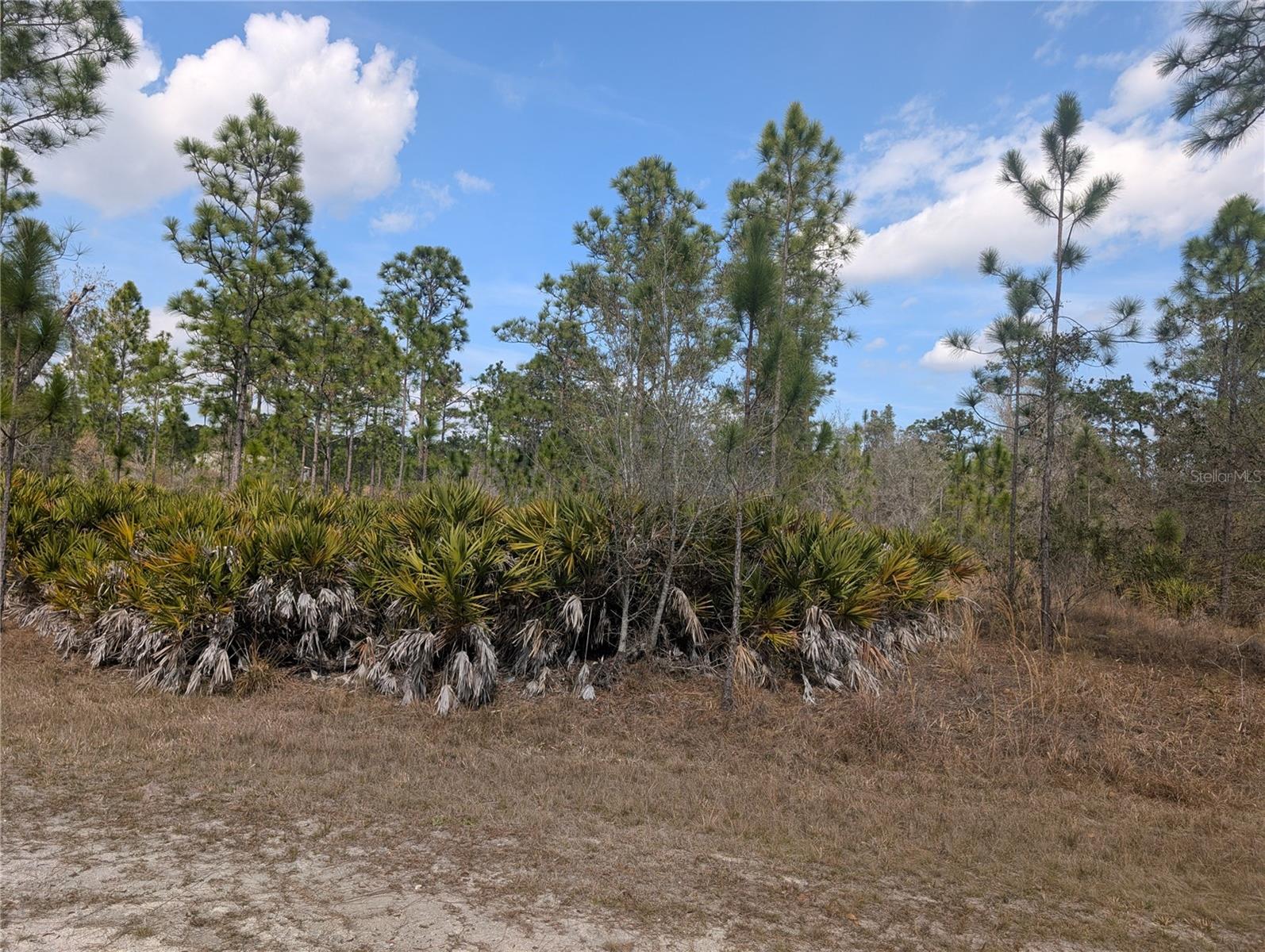 614 Alba Drive, FL