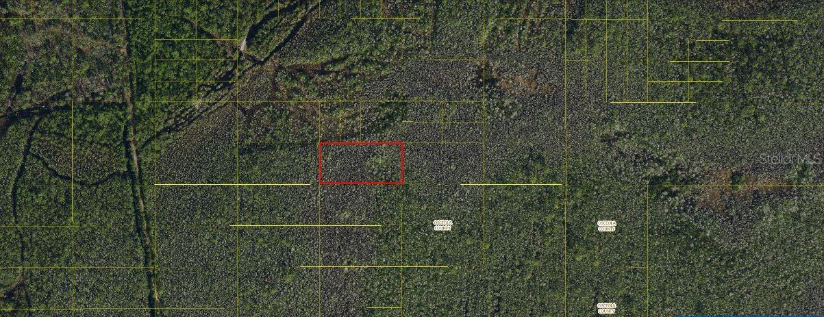Holopaw Groves Road, FL