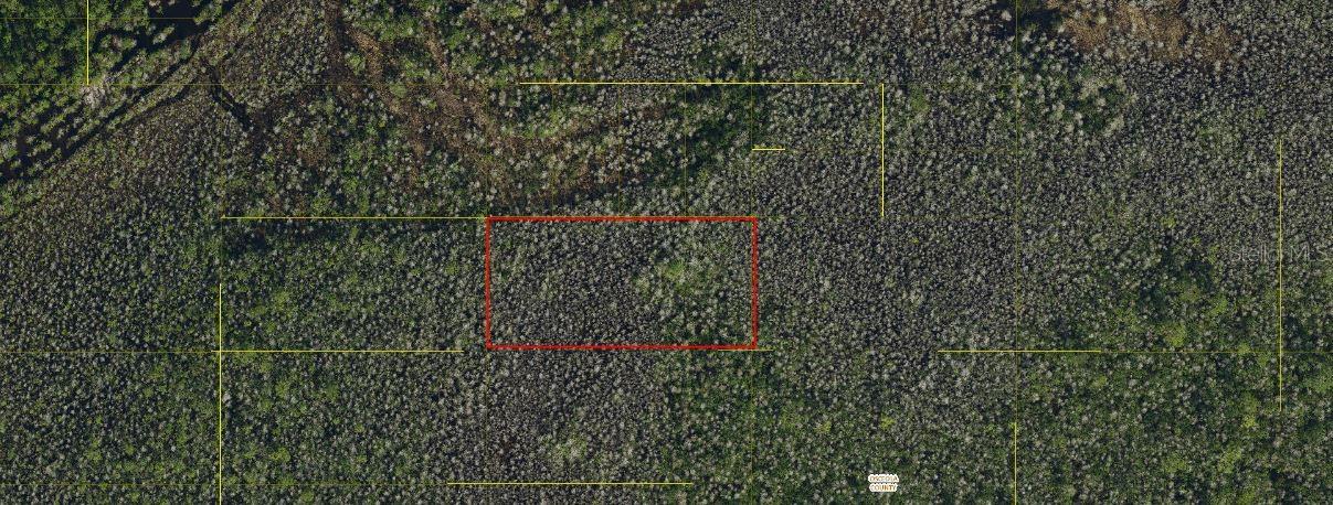 Holopaw Groves Road, FL
