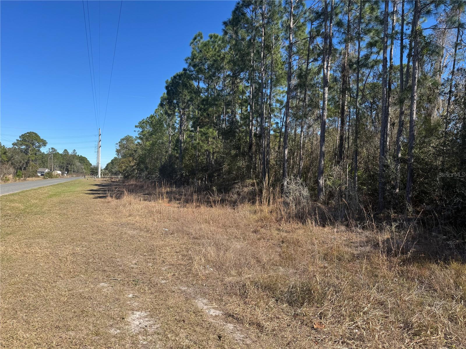Grace Avenue, FL