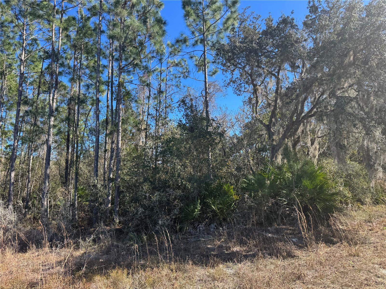 Grace Avenue, FL