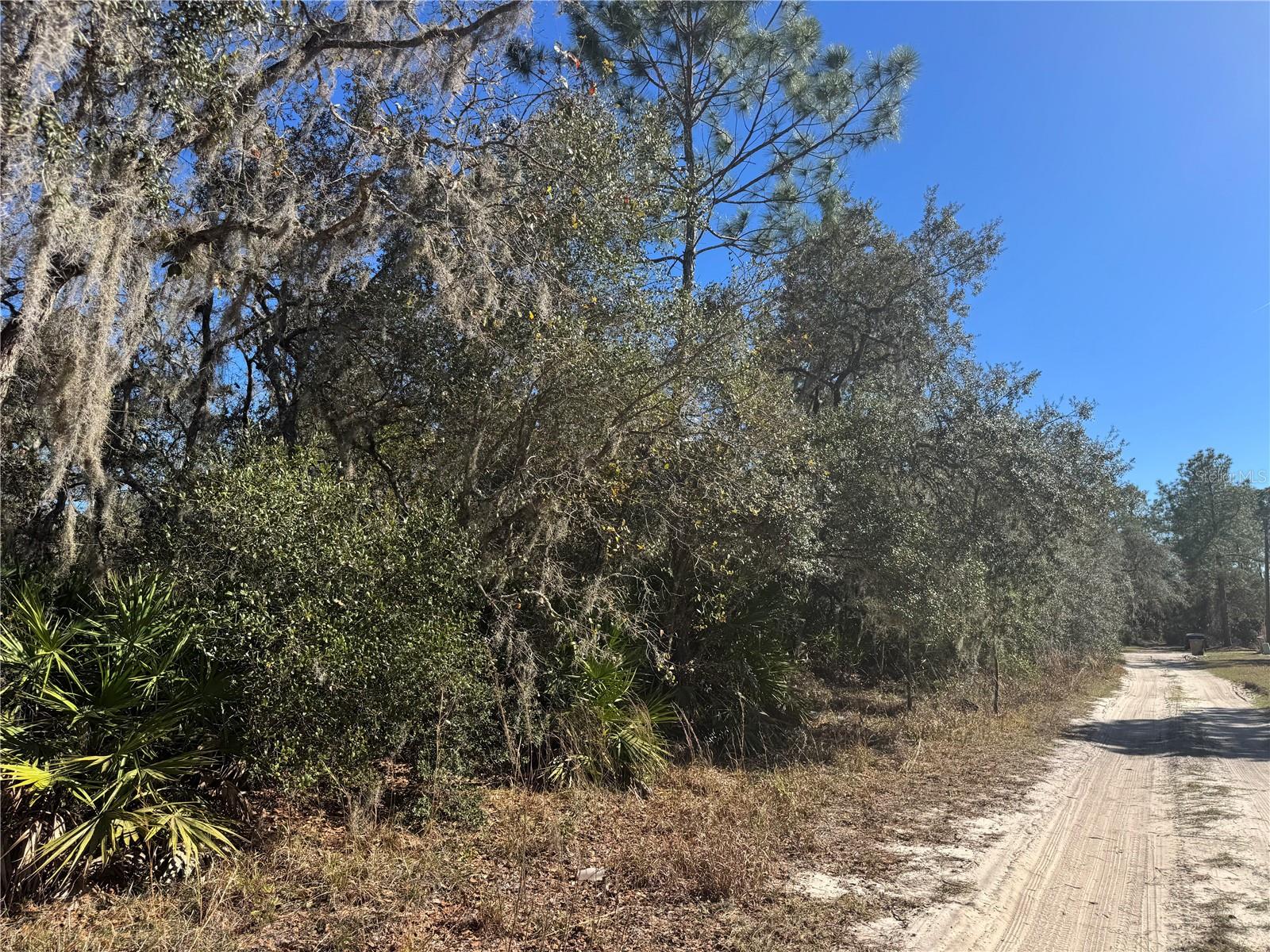 Grace Avenue, FL
