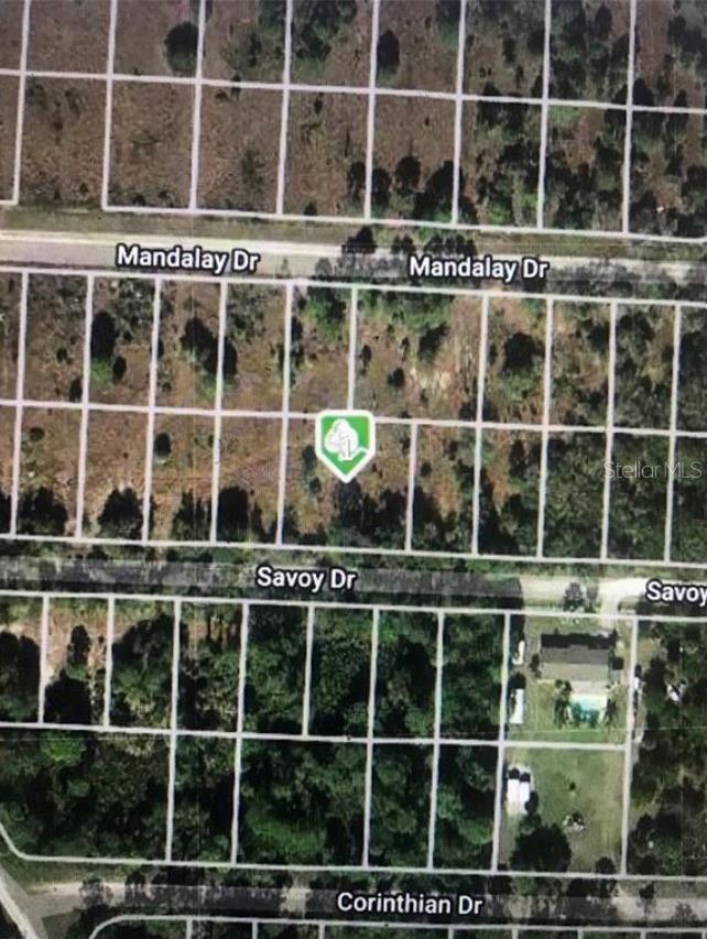 27118 Savoy Drive, FL