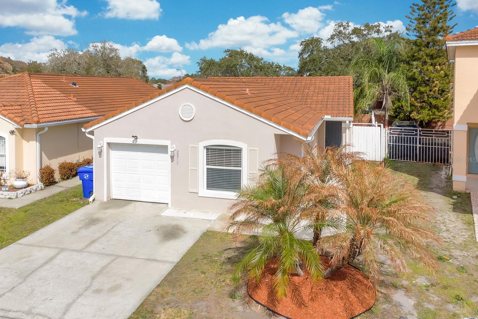 2317 Santa Lucia Street, FL