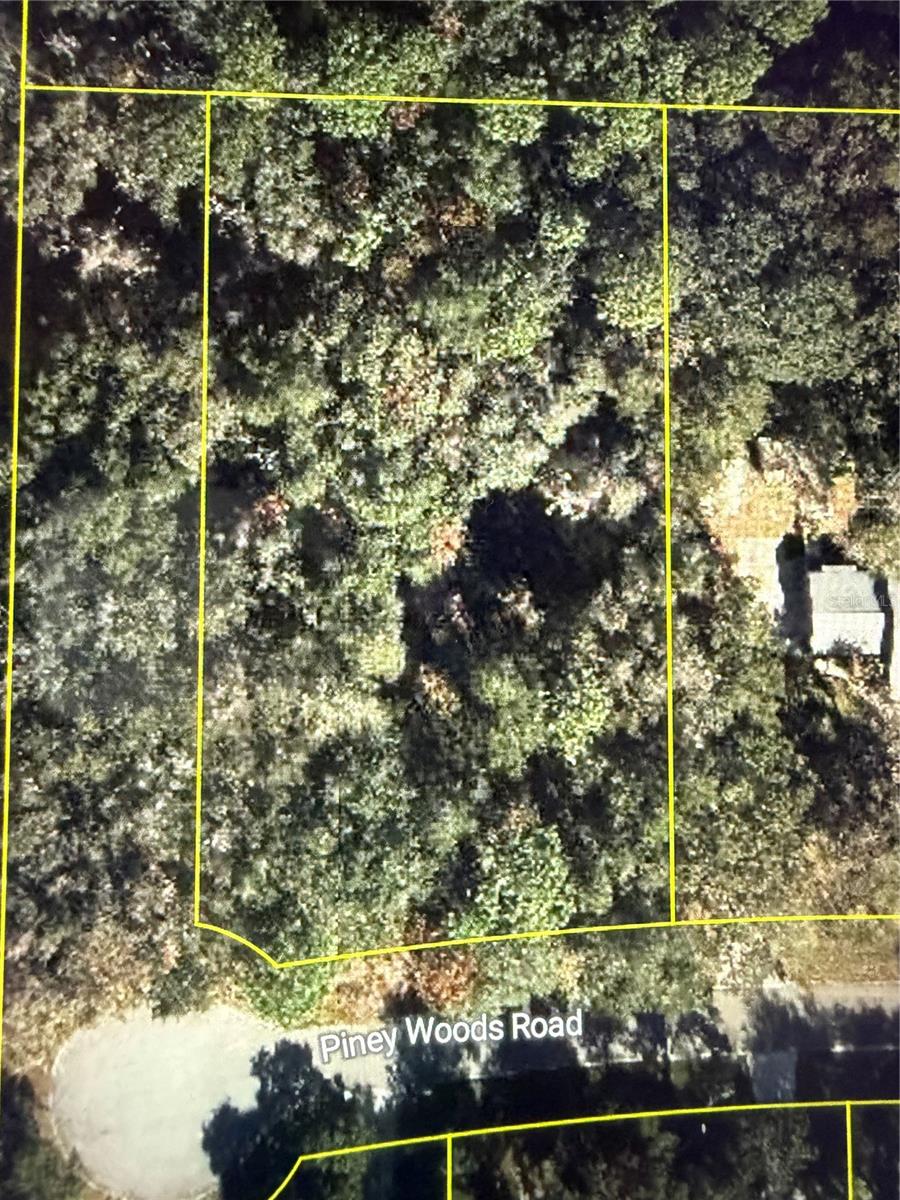 101 Piney Woods Road, FL