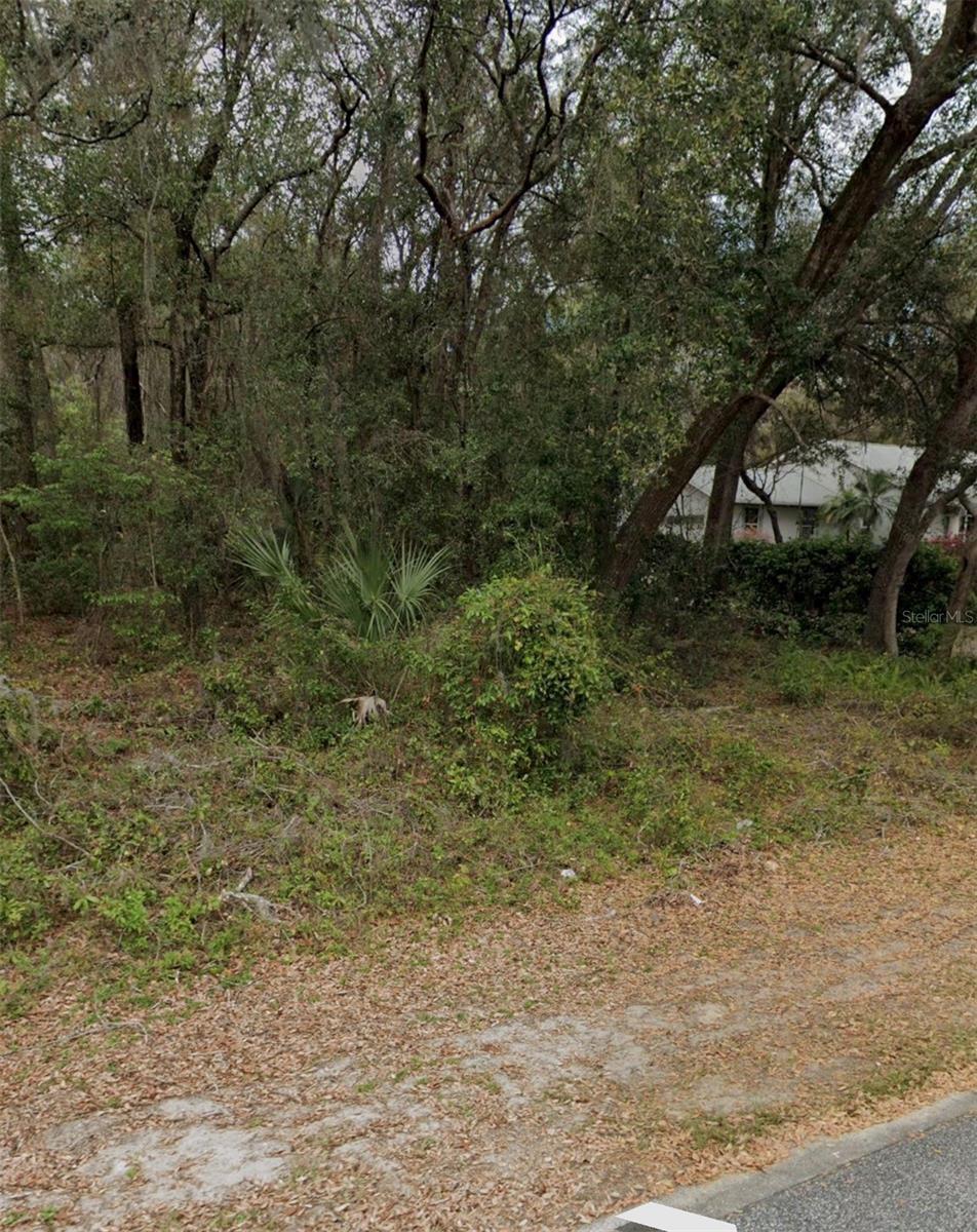 101 Piney Woods Road, FL