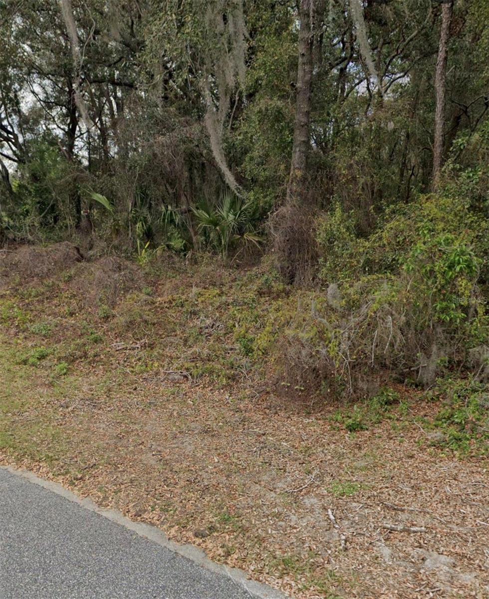 101 Piney Woods Road, FL