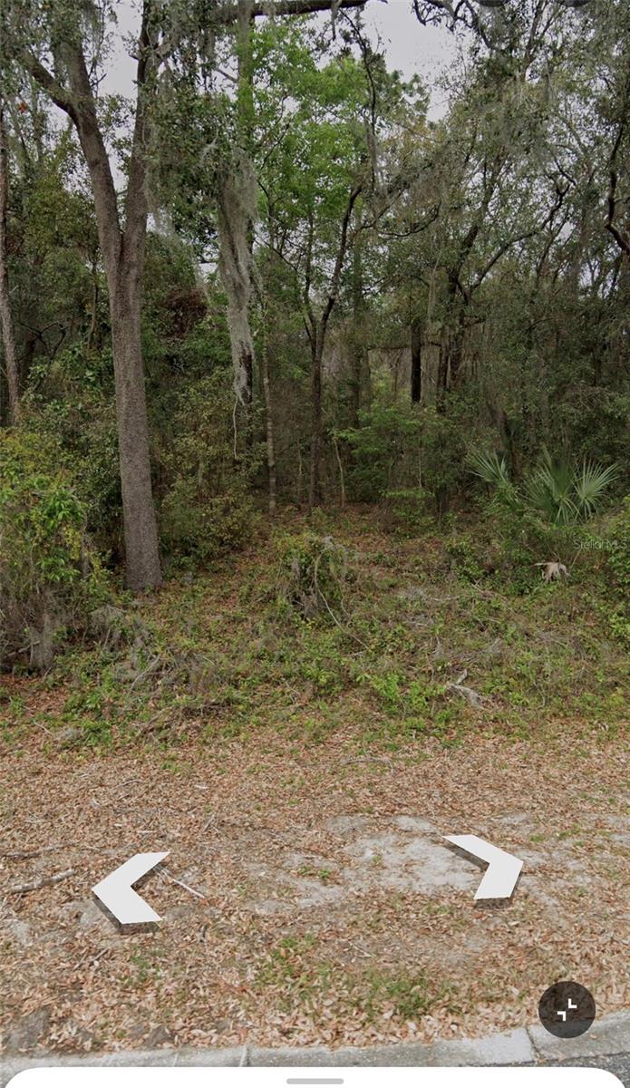 101 Piney Woods Road, FL