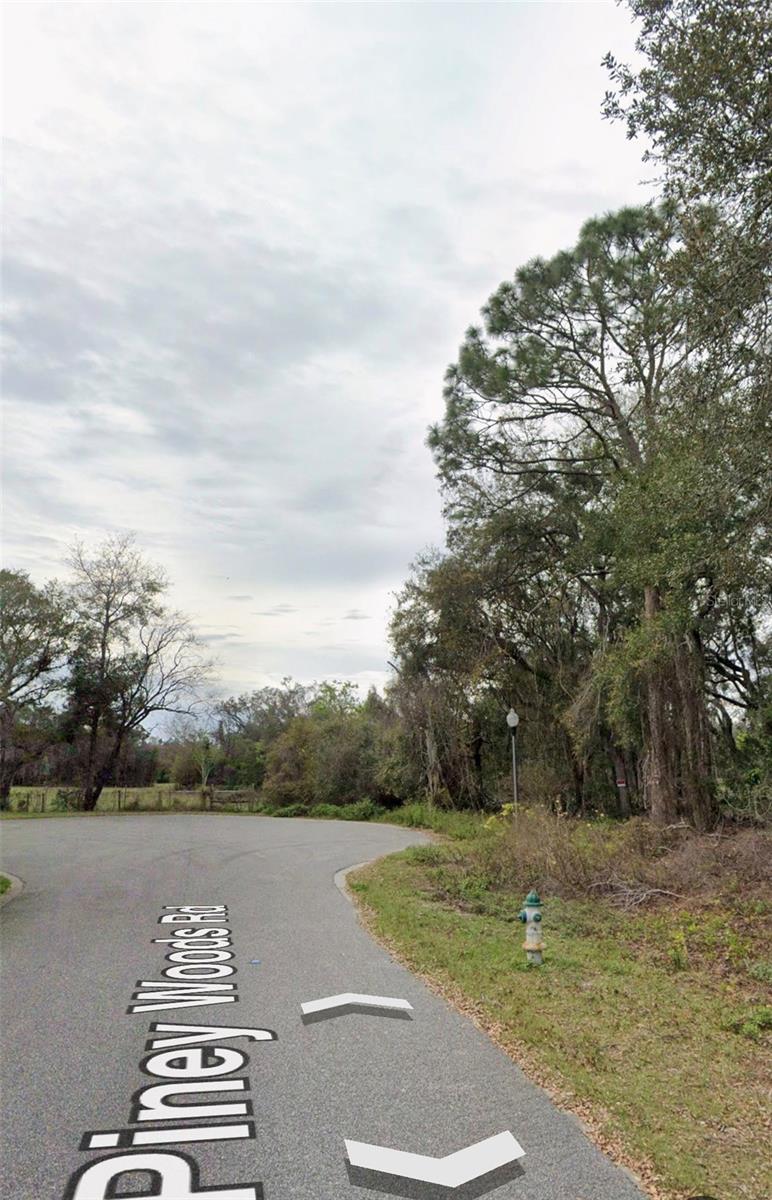 101 Piney Woods Road, FL