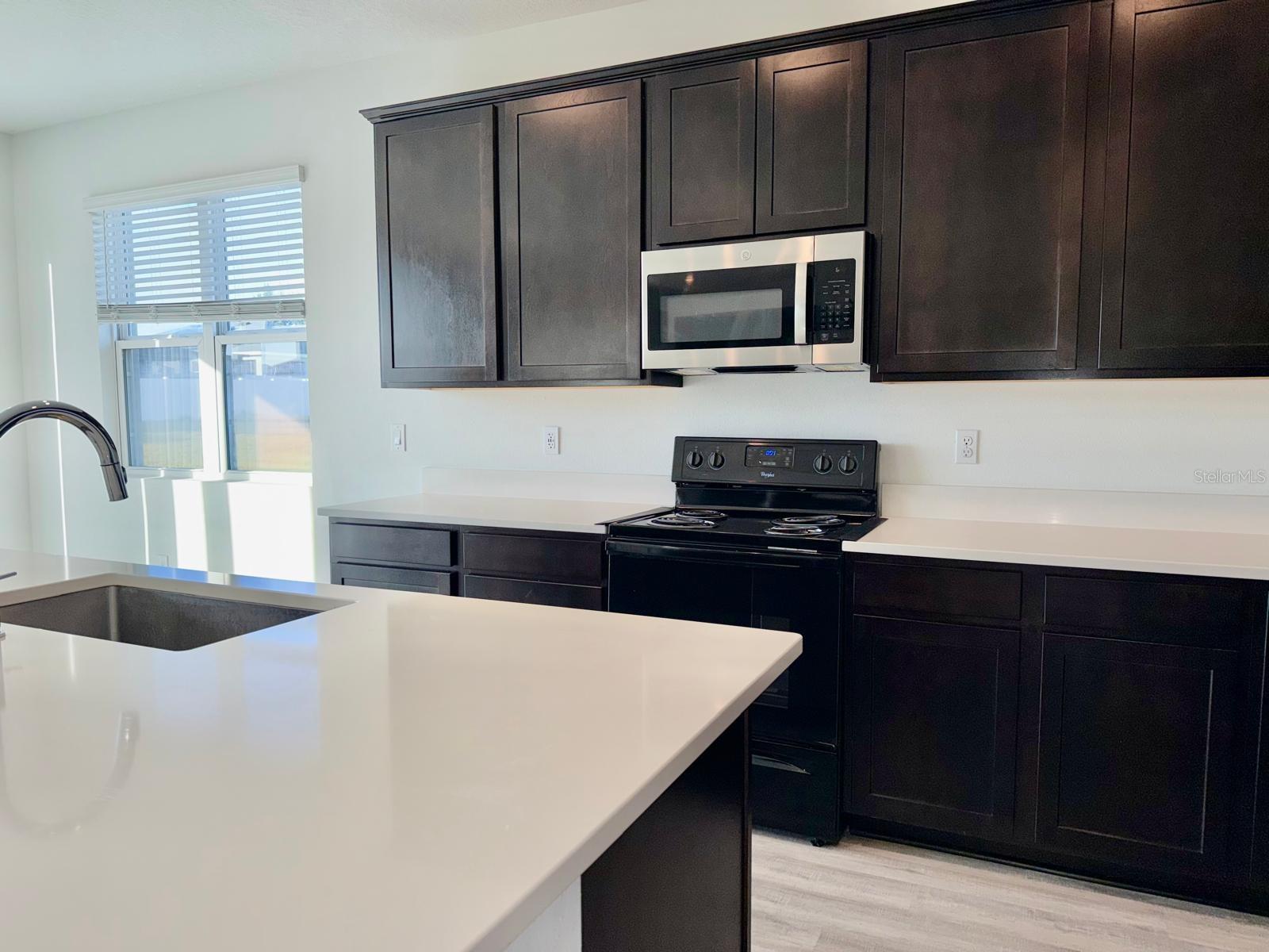 1209 Mattie Pointe Boulevard, FL