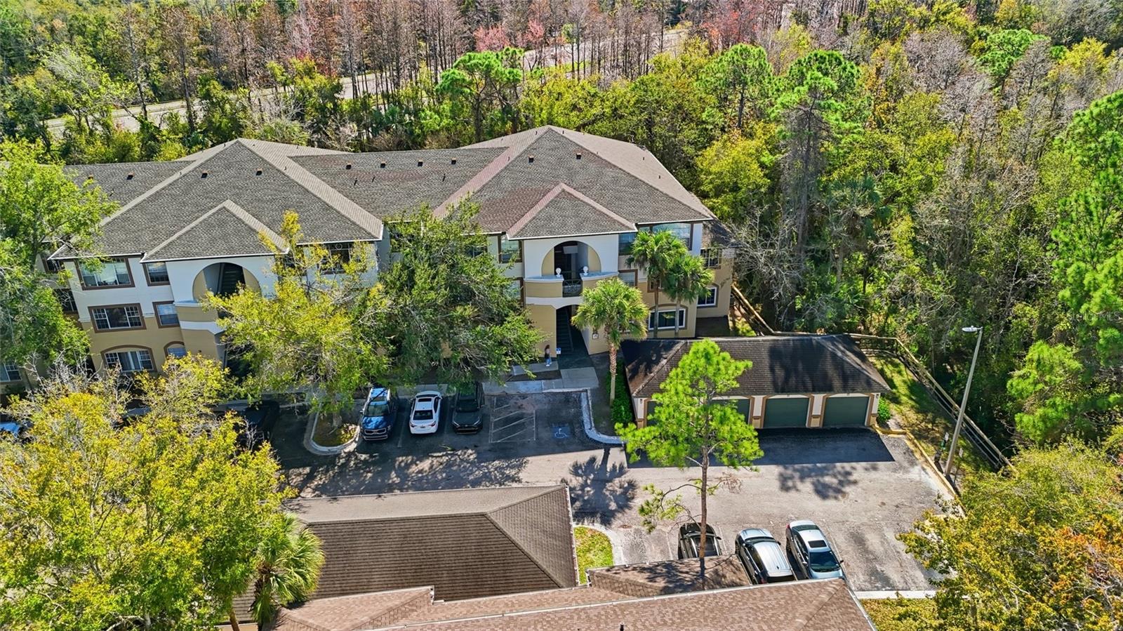 17106 Carrington Park Drive, FL