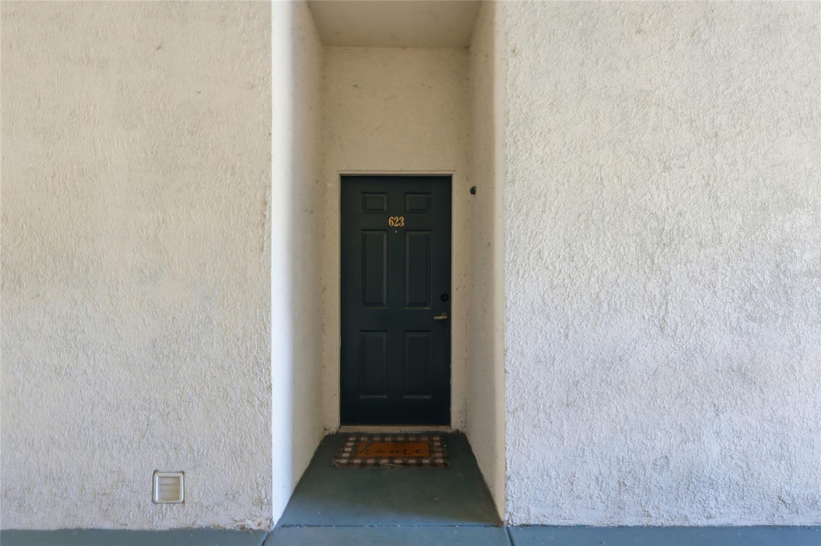 17106 Carrington Park Drive, FL