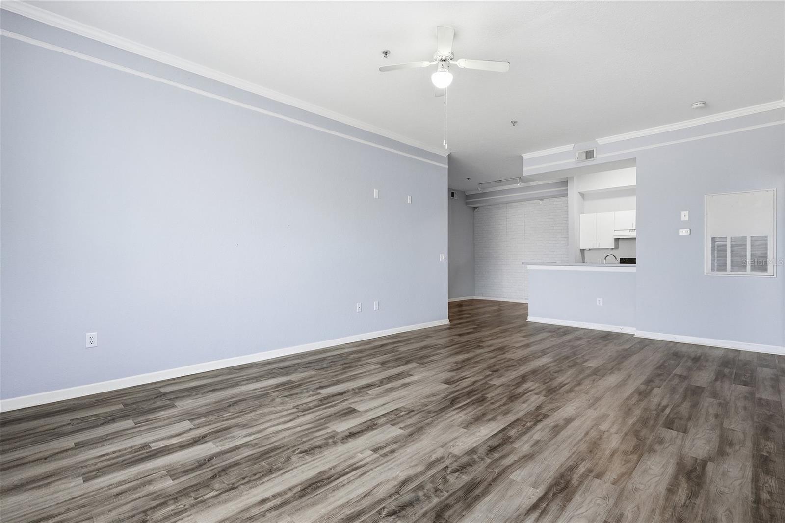 17106 Carrington Park Drive, FL