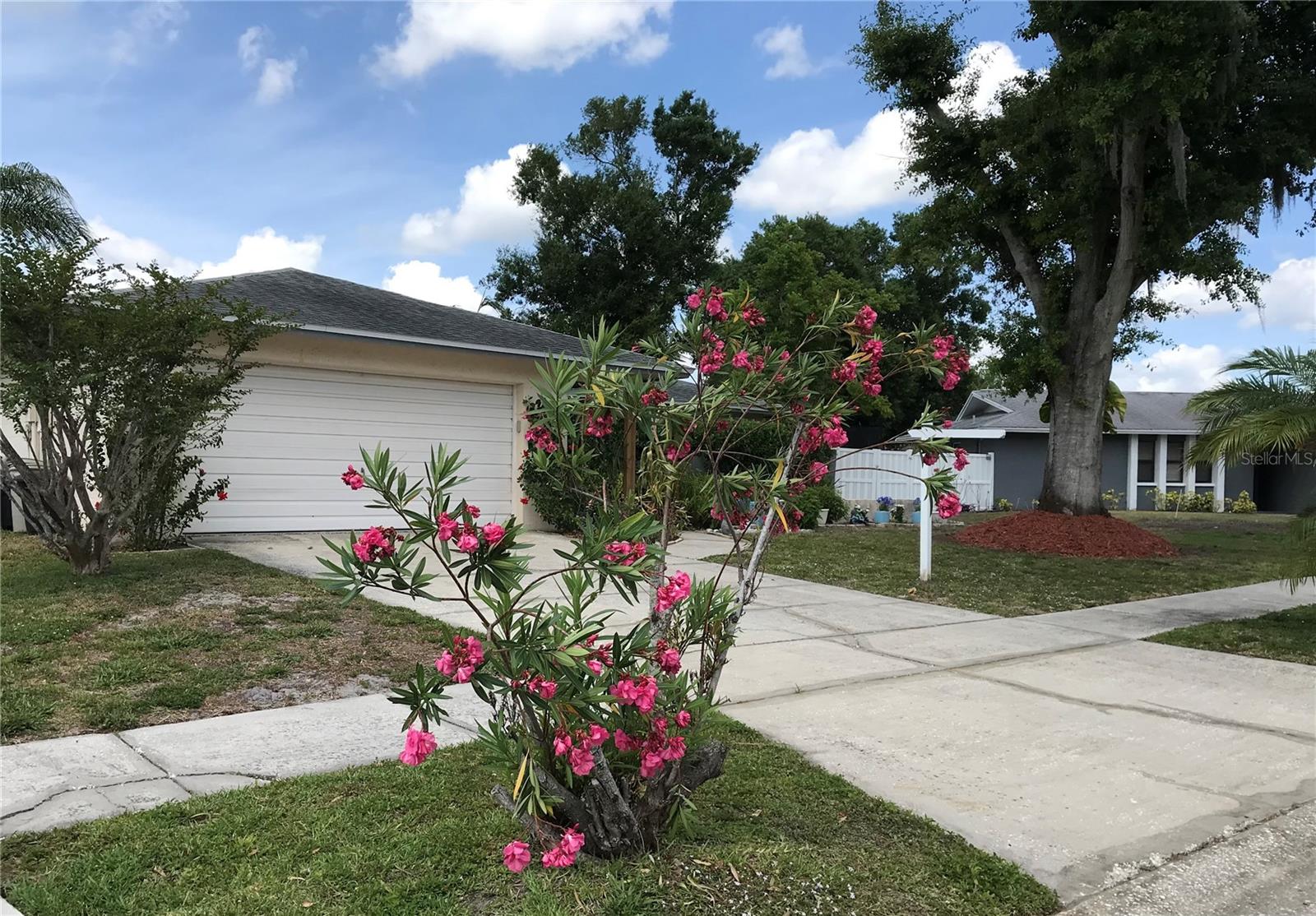 5205 Ripple Creek Drive, FL