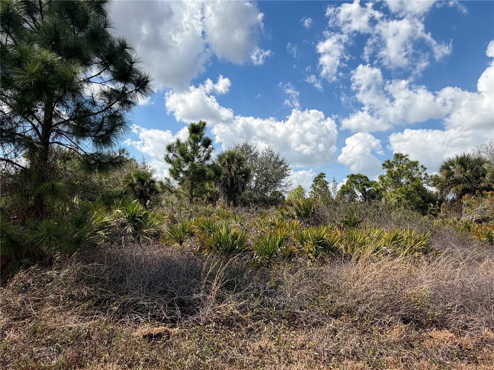 524 Columbus Boulevard, FL