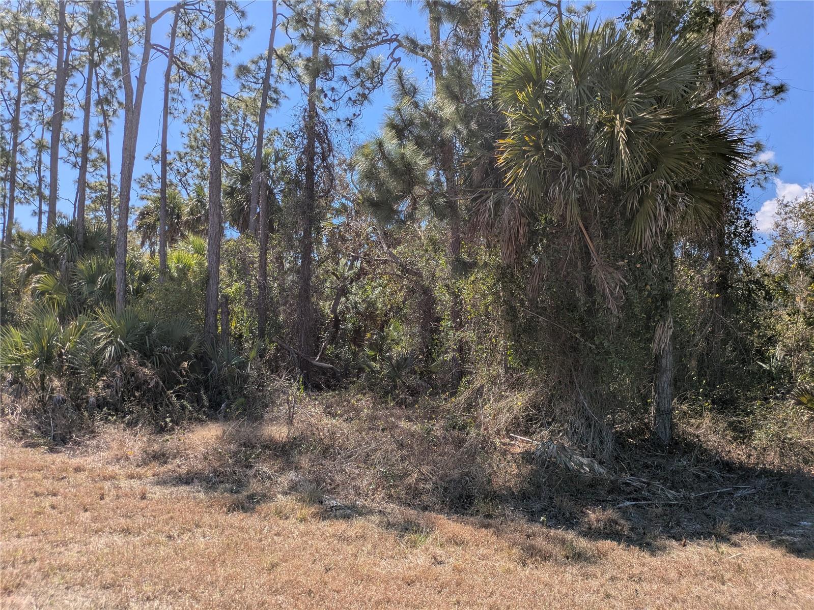 Bannock Circle, FL