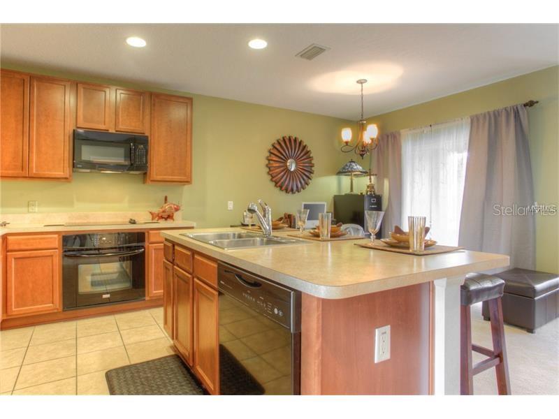 2955 Willowleaf Lane, FL