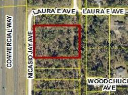 17496 Nicasio Jay Avenue, FL