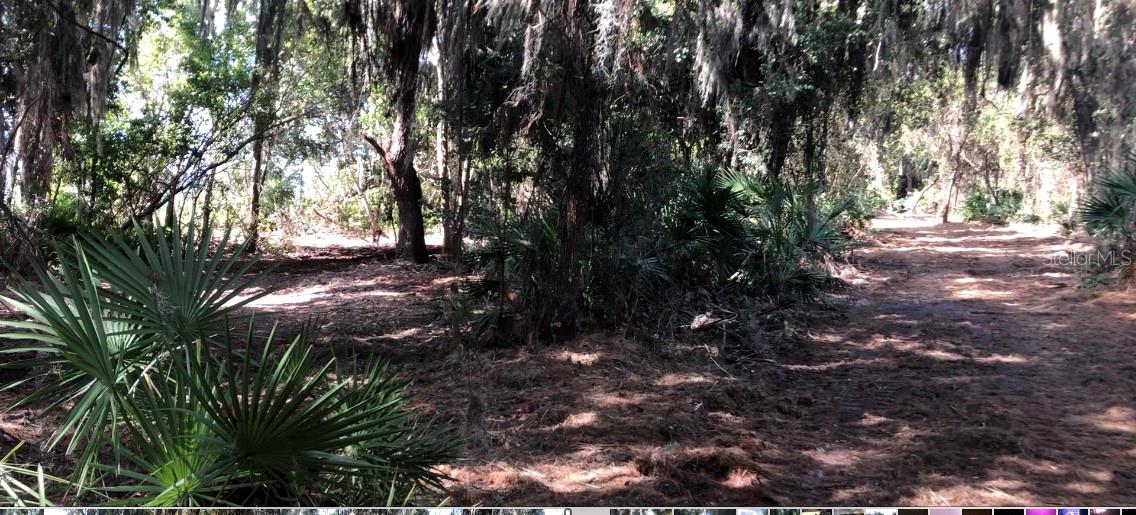 Lake Reedy Boulevard, FL