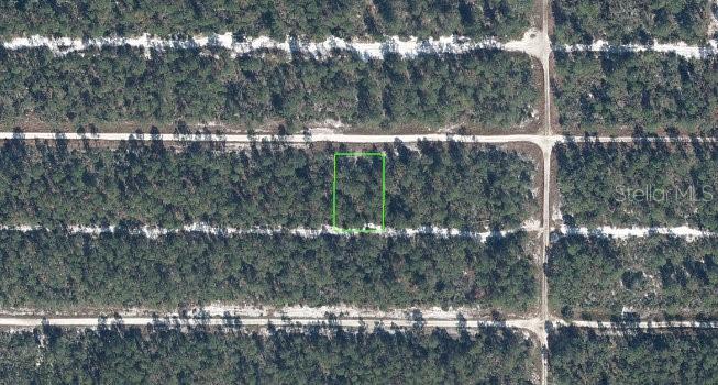 613 Parakeet Avenue, FL