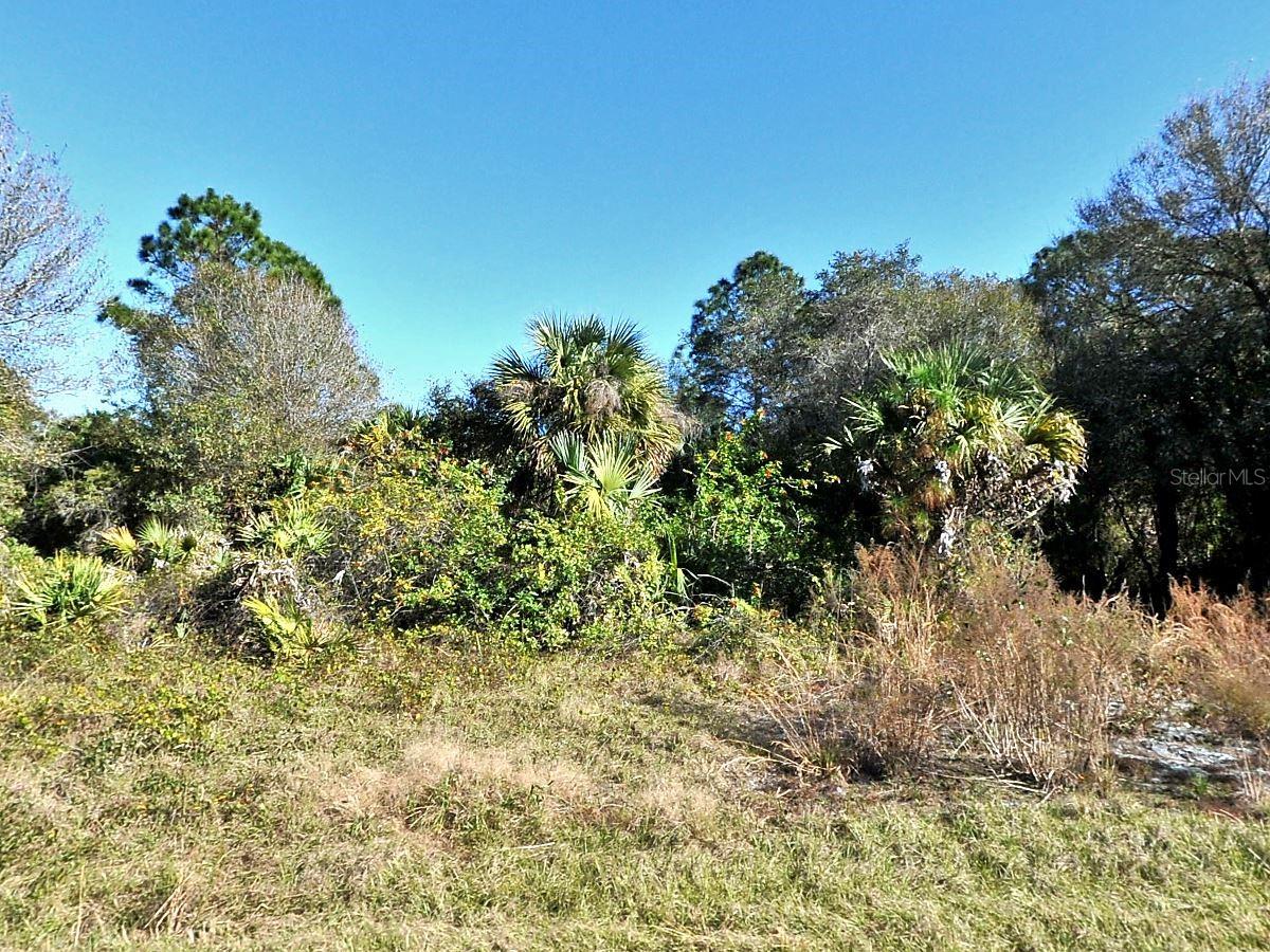 Candlenut Street, FL