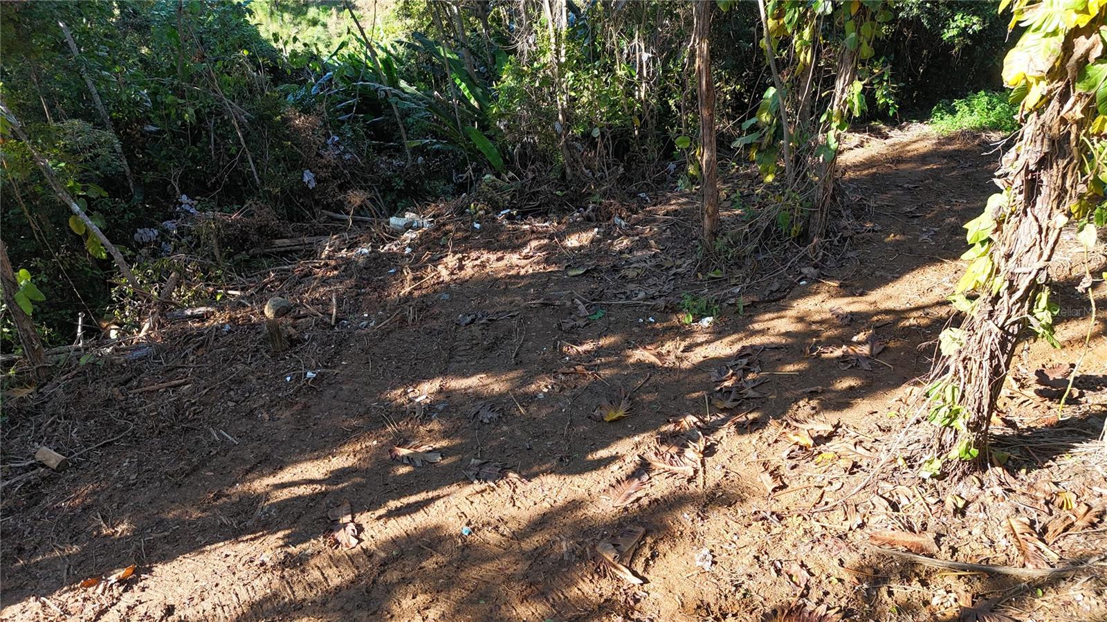 186 Camino Los Reyes, PR