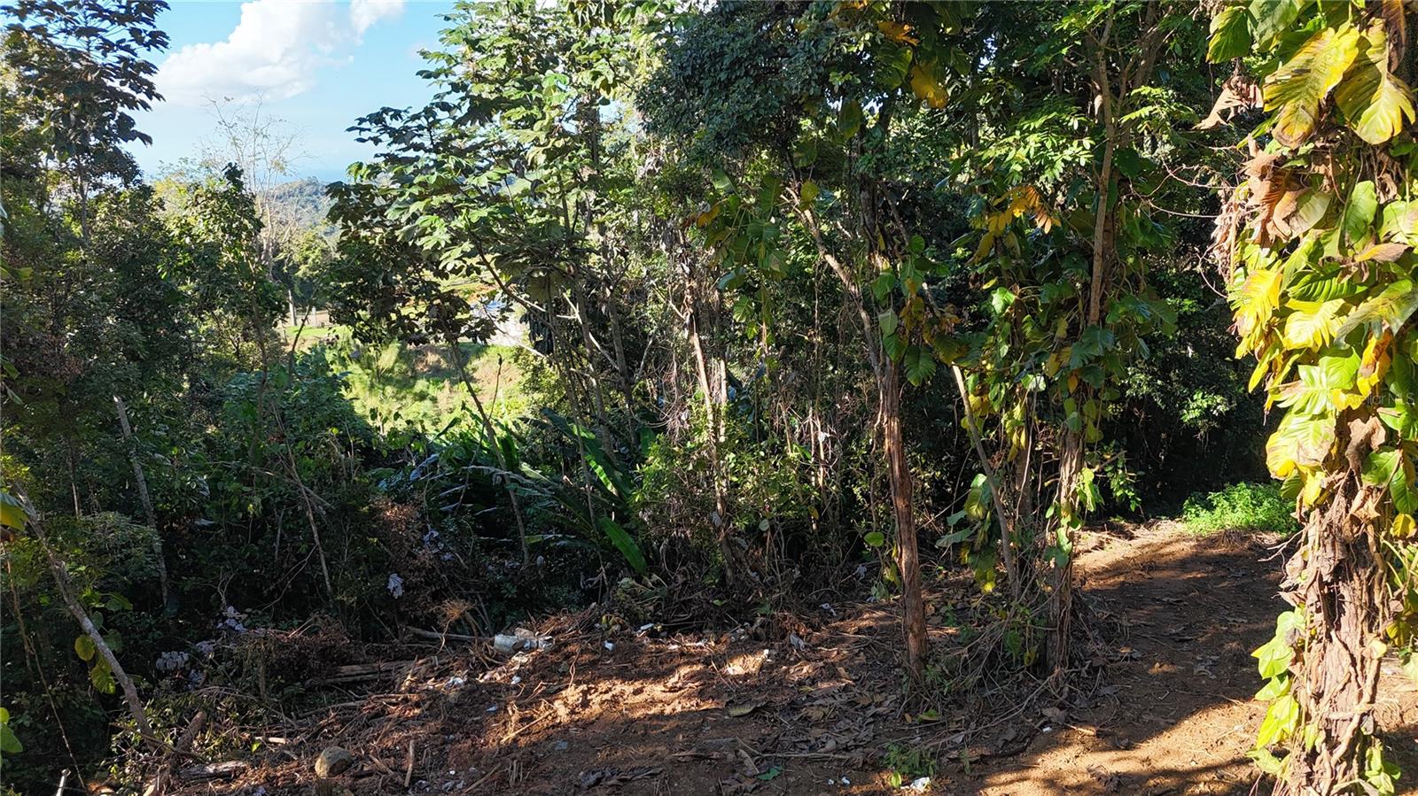 186 Camino Los Reyes, PR
