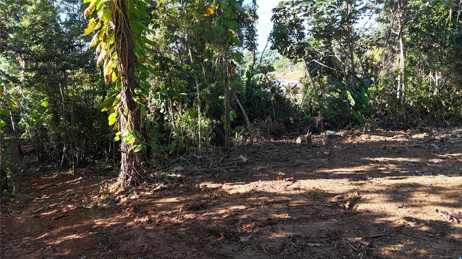 186 Camino Los Reyes, PR