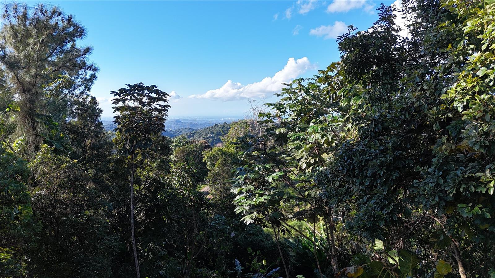 186 Camino Los Reyes, PR