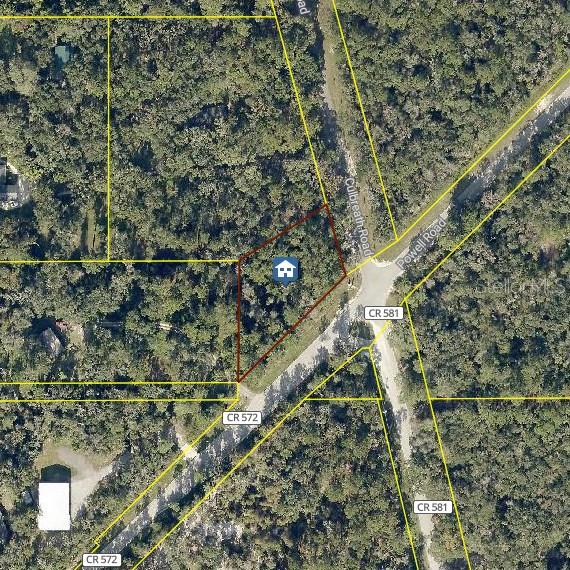 Culbreath Road, FL