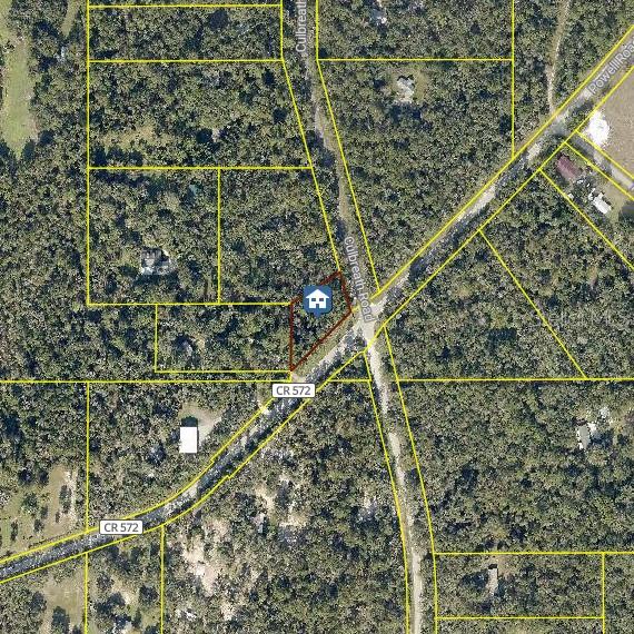 Culbreath Road, FL