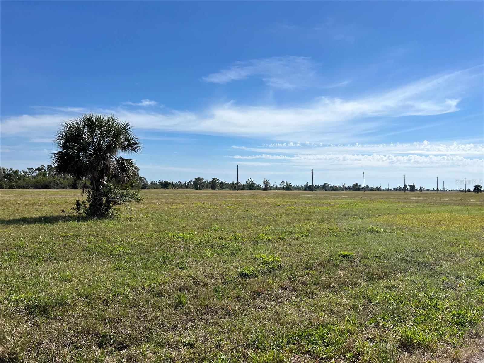 12386 Greenling Way, FL