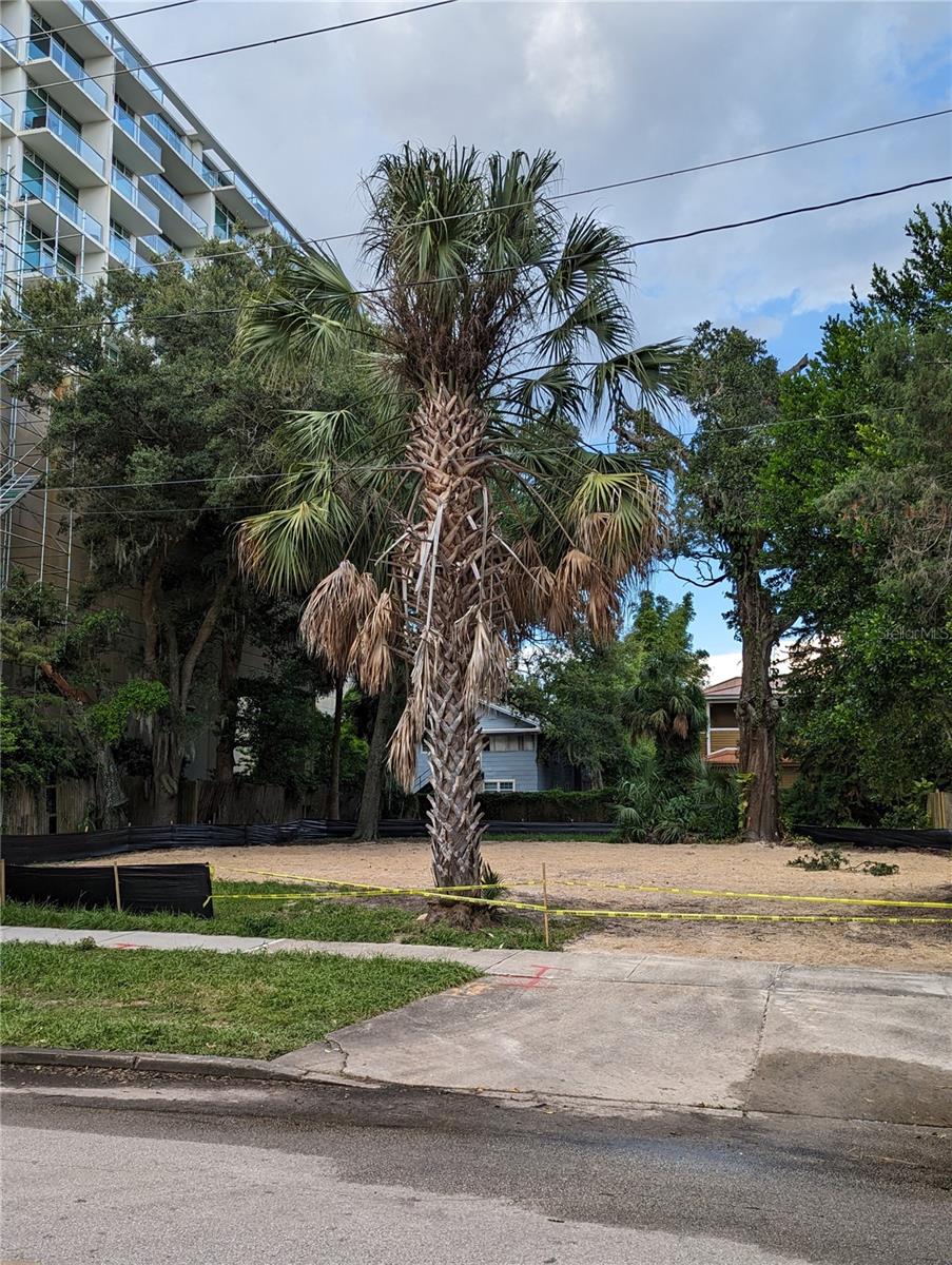 617 Church Street, FL