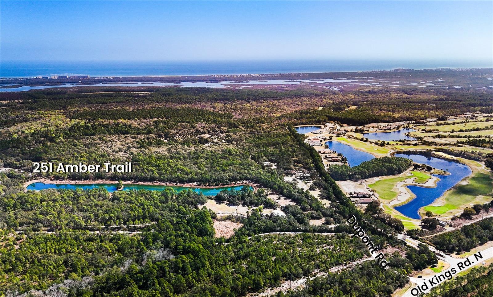 251 Amber Trail, FL