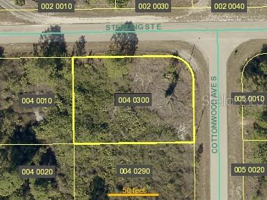 502 Cottonwood Avenue, FL