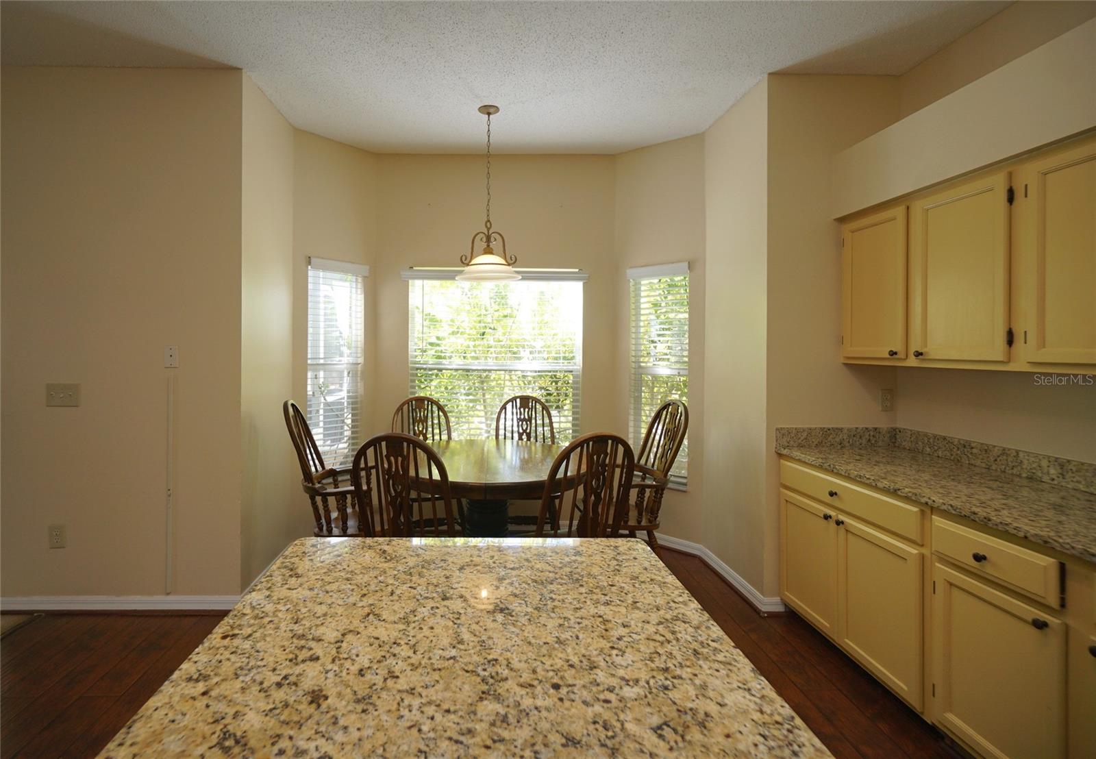 10905 Capstan Lake Drive, FL