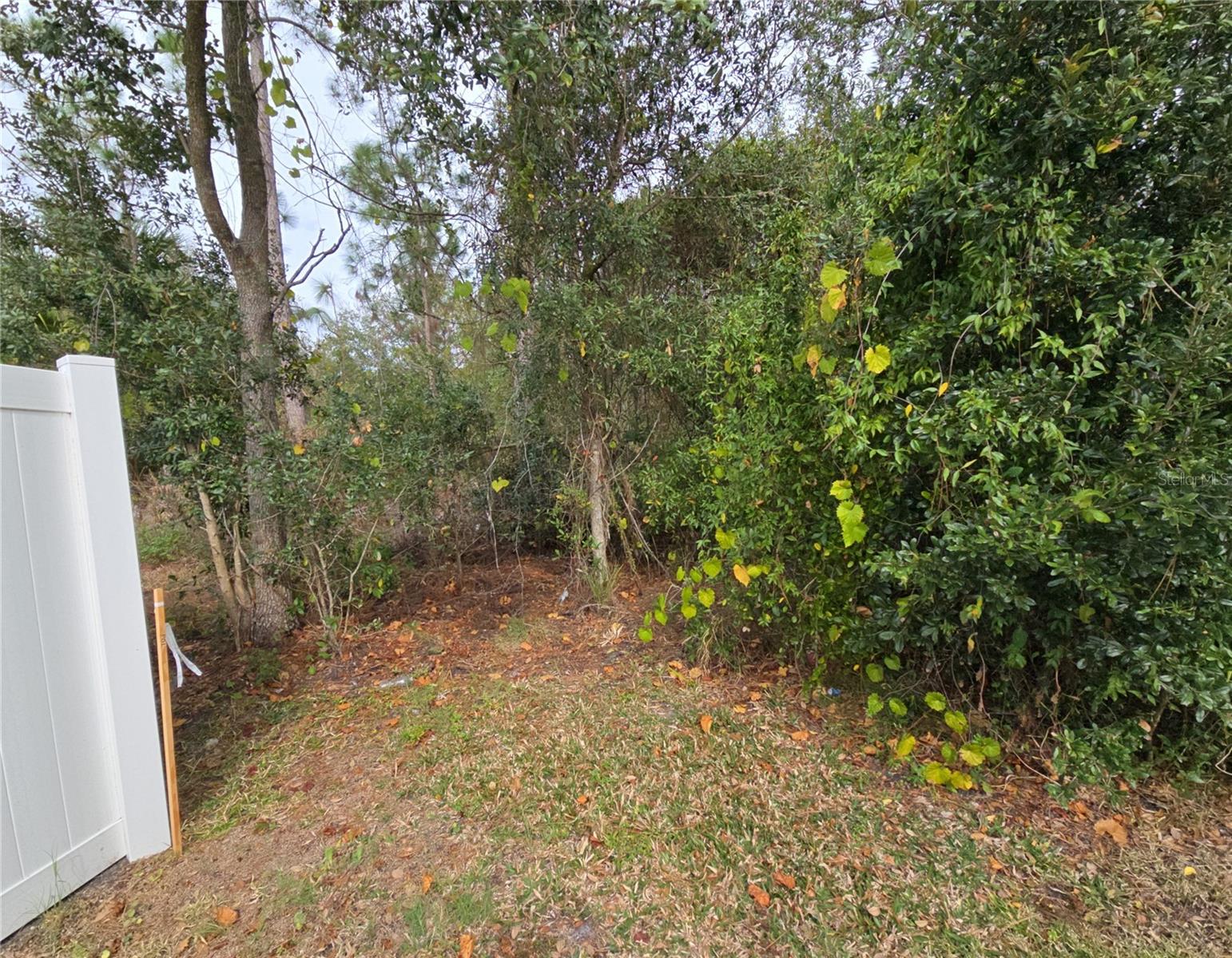705 Wombat Way, FL