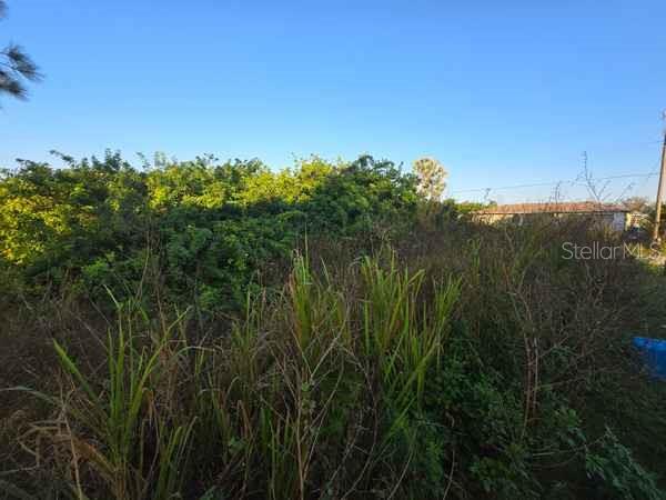 3813 5th Street, FL