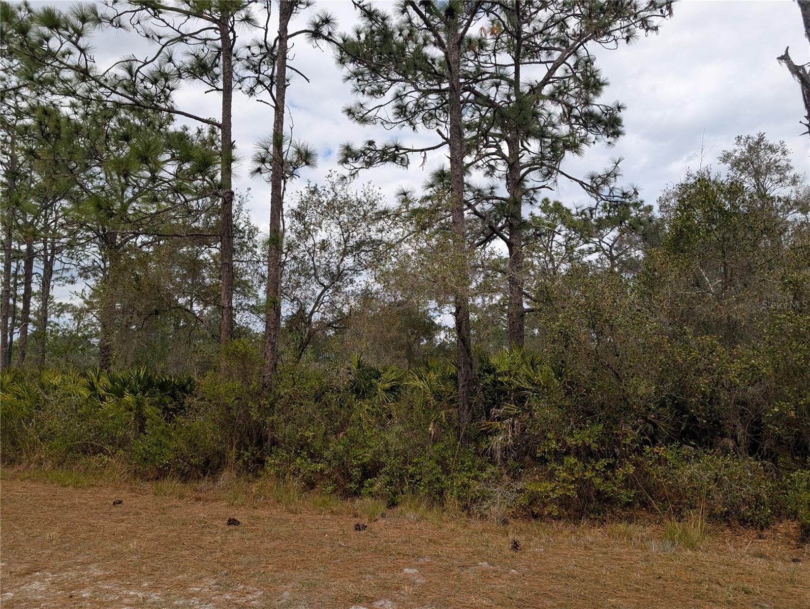 416 Bougainville Drive, FL