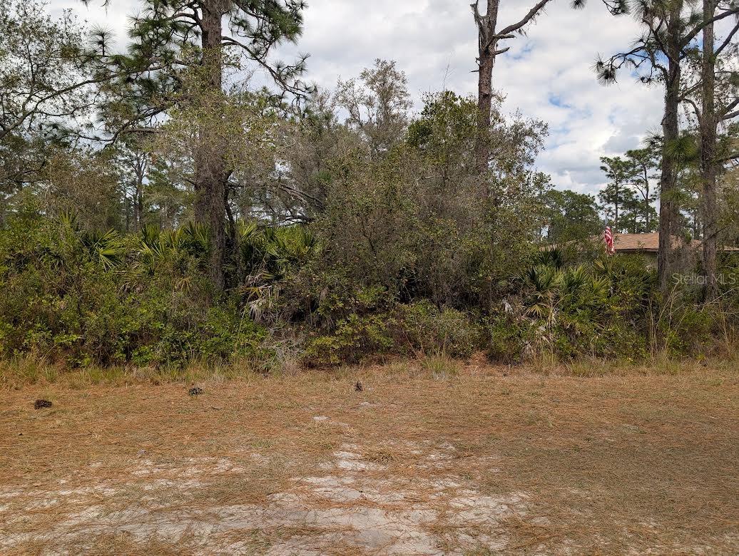 416 Bougainville Drive, FL
