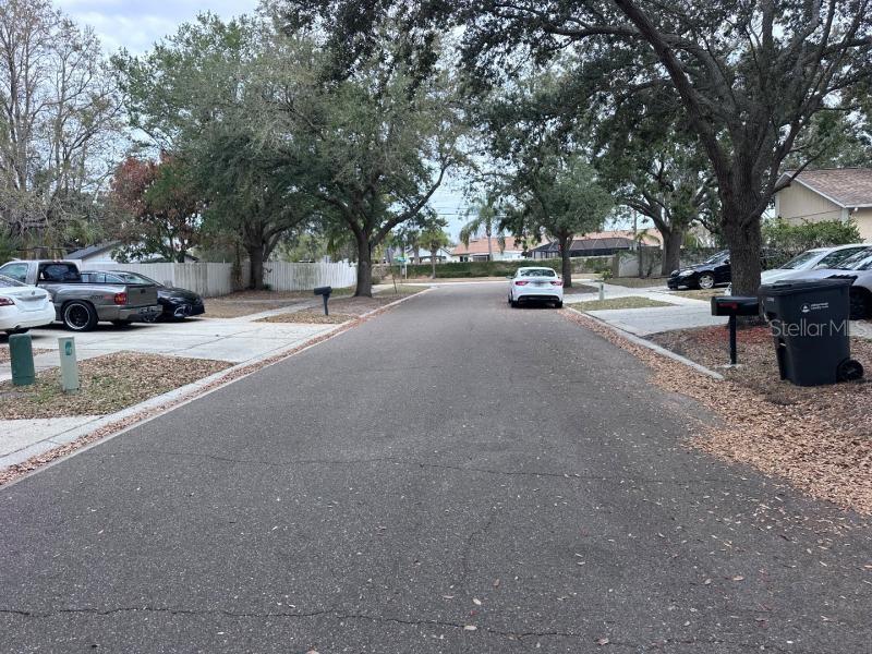 1451 Mohrlake Drive, FL