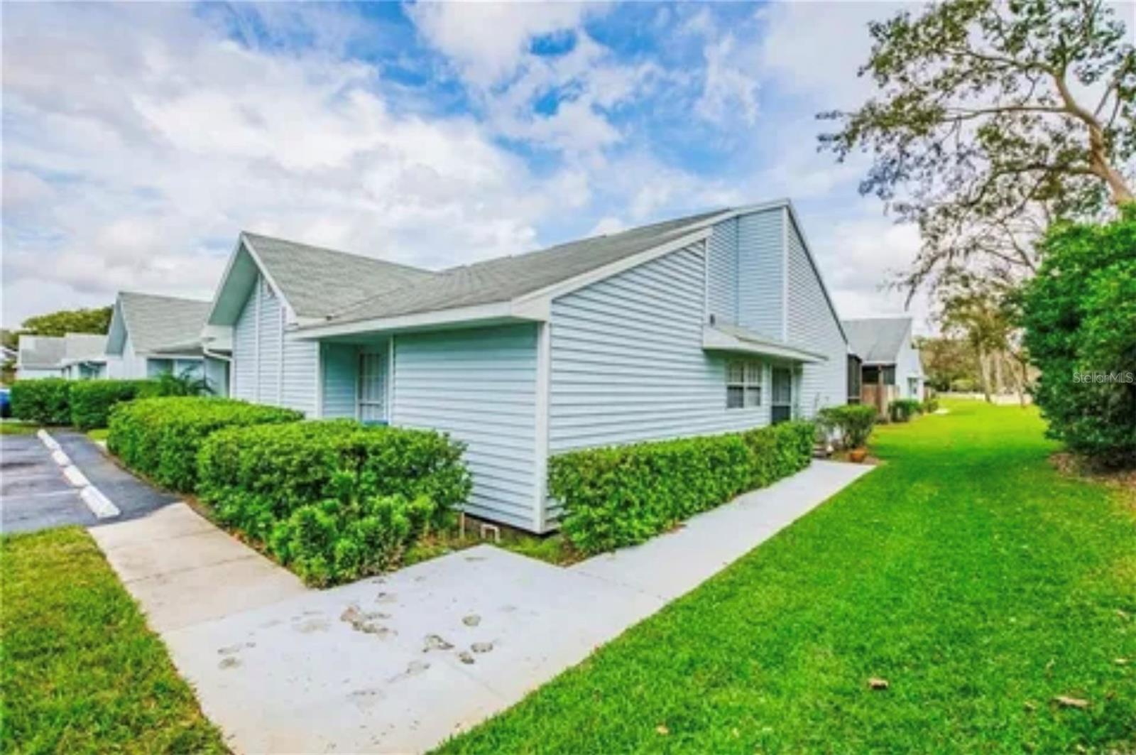 16101 Rambling Vine Drive, FL