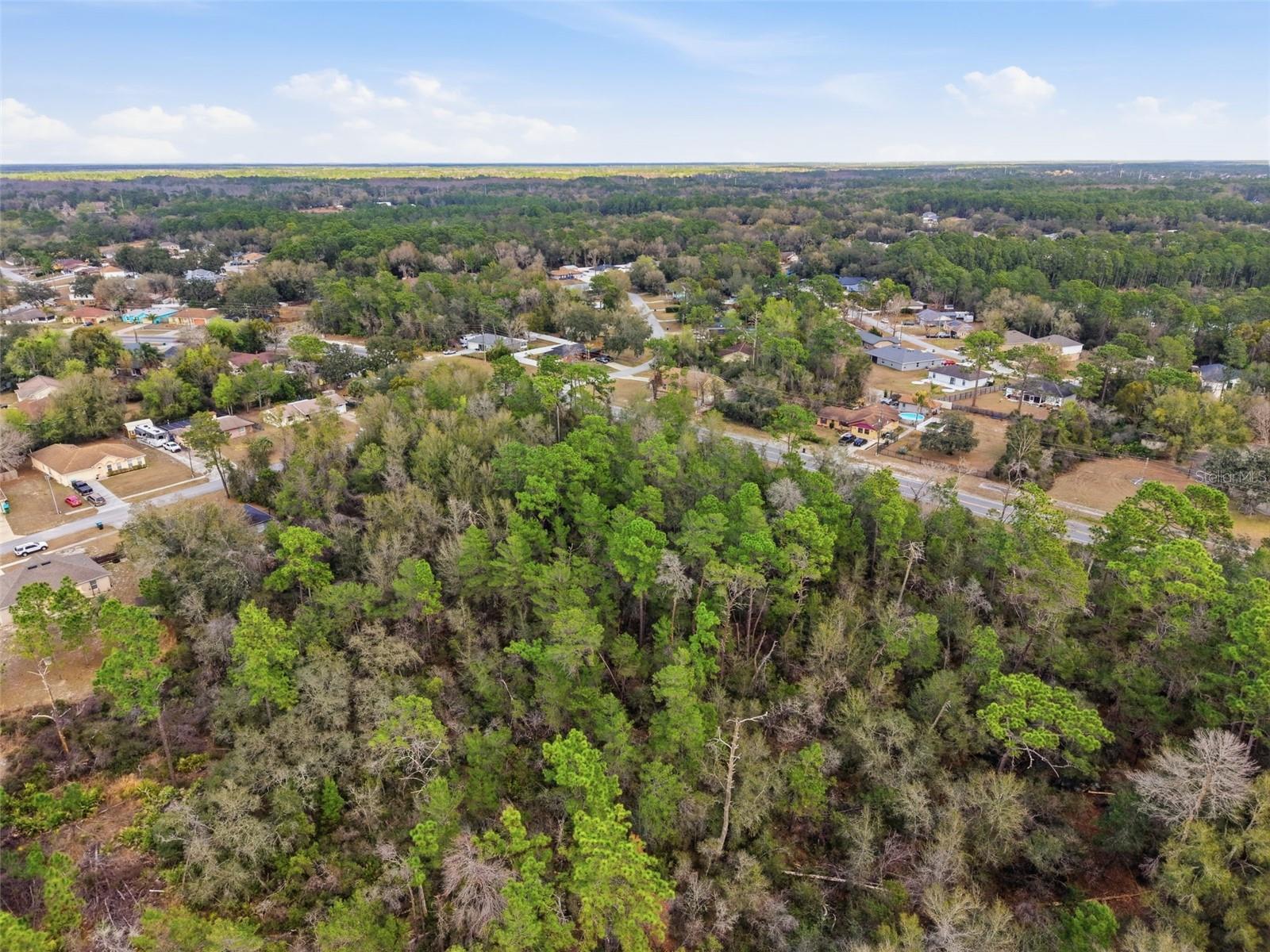 0 Lake Helen Osteen Road, FL