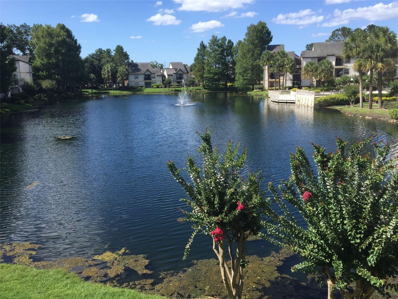 1908 Lake Atriums Circle, FL