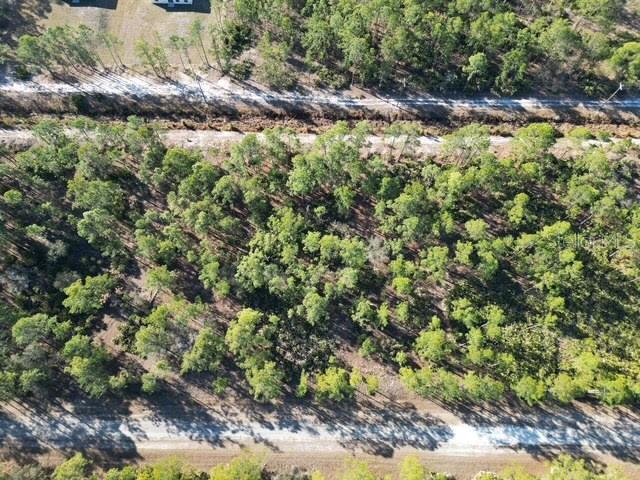 707 Laguna Drive, FL