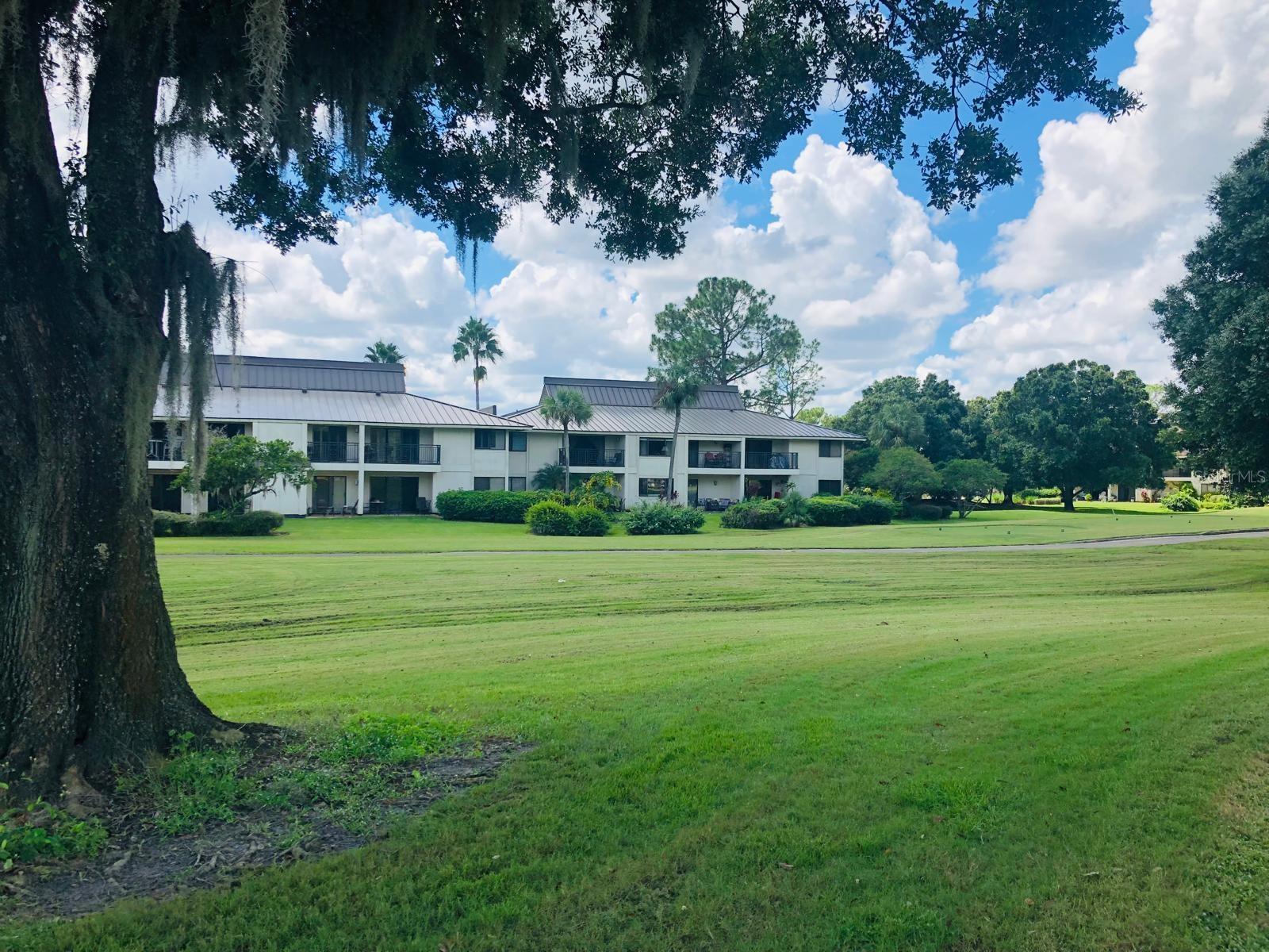 29129 Bay Hollow Drive, FL