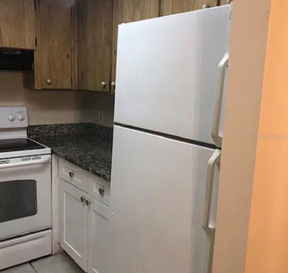 3124 Bloomingdale Villas Court, FL