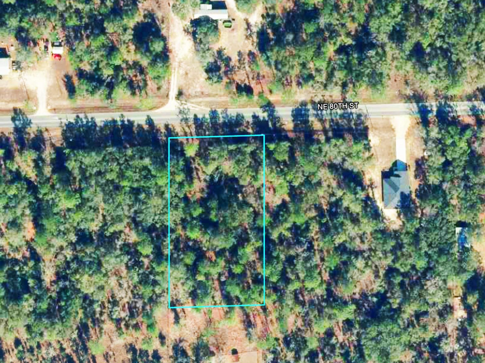 Ne 80th Street, FL