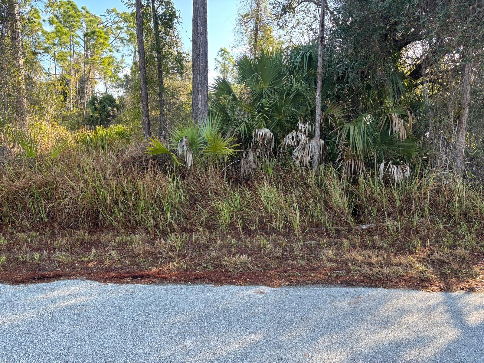 Bismarck Road, FL
